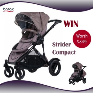 Strider compact stroller