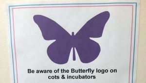 purple butterfly sticker
