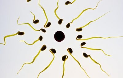 male contraceptive